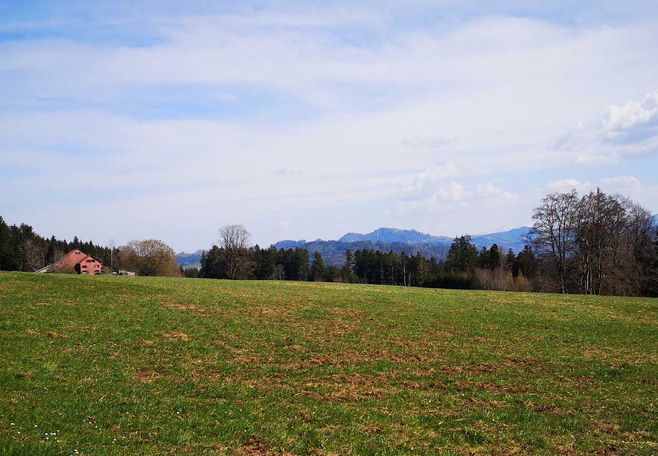 Howacht Tannenberg