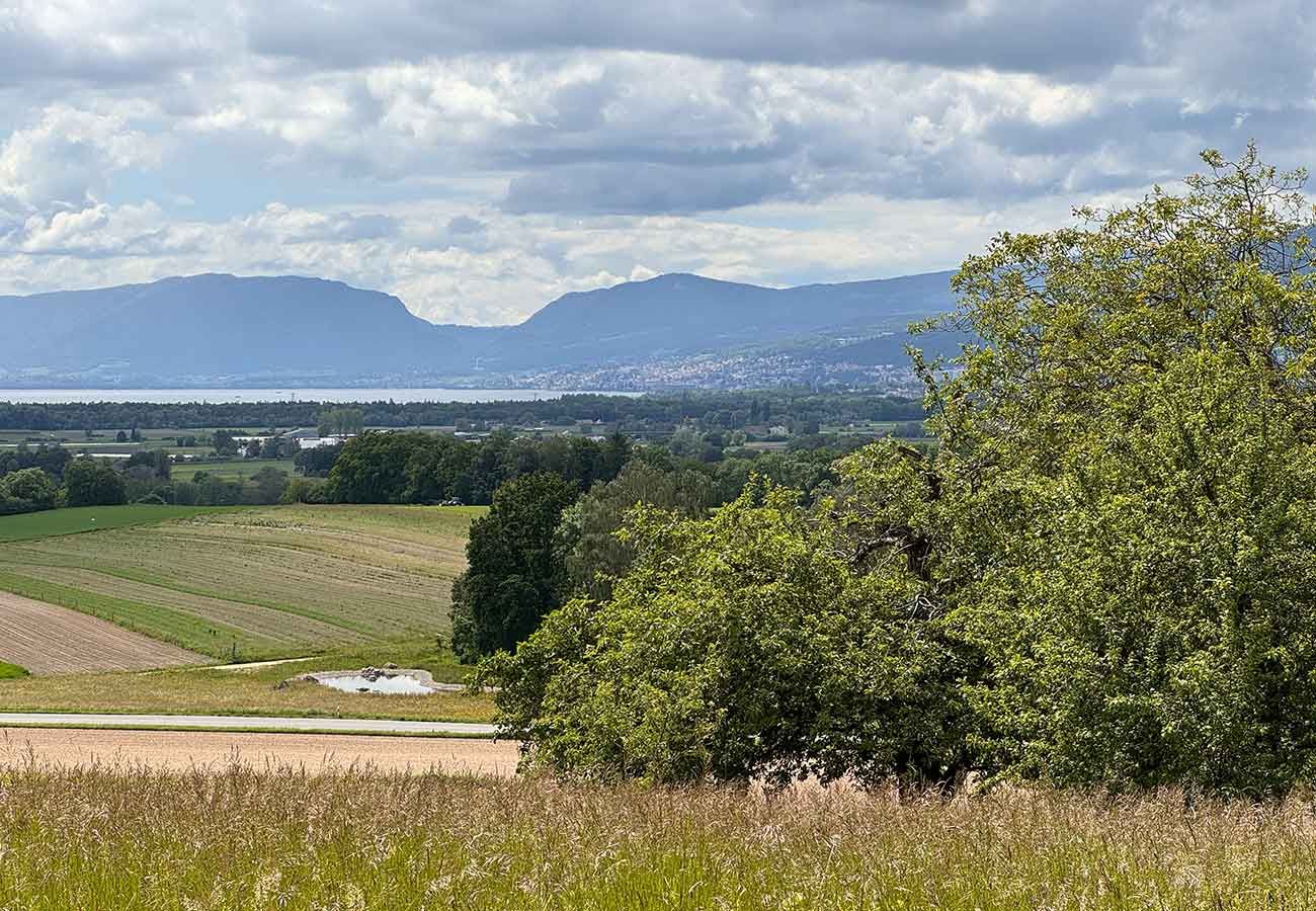 Sankt Jodel