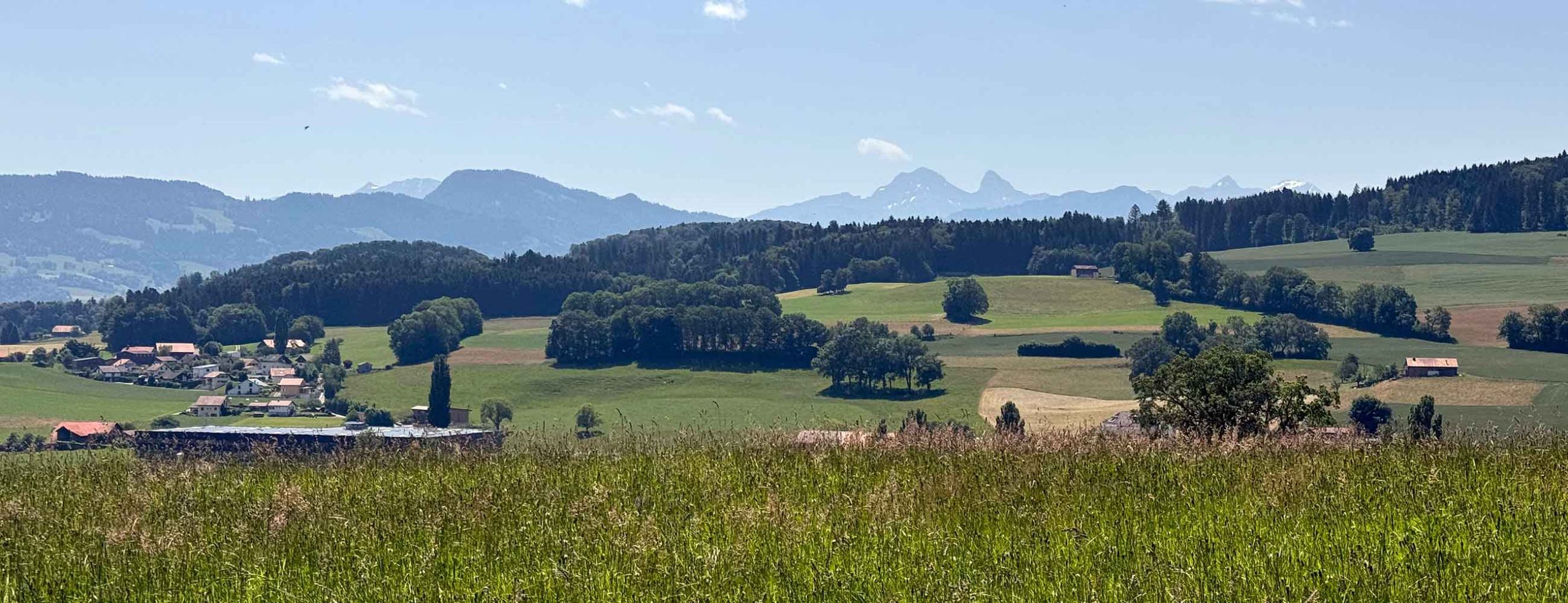 Vuisternens-en-ogoz
