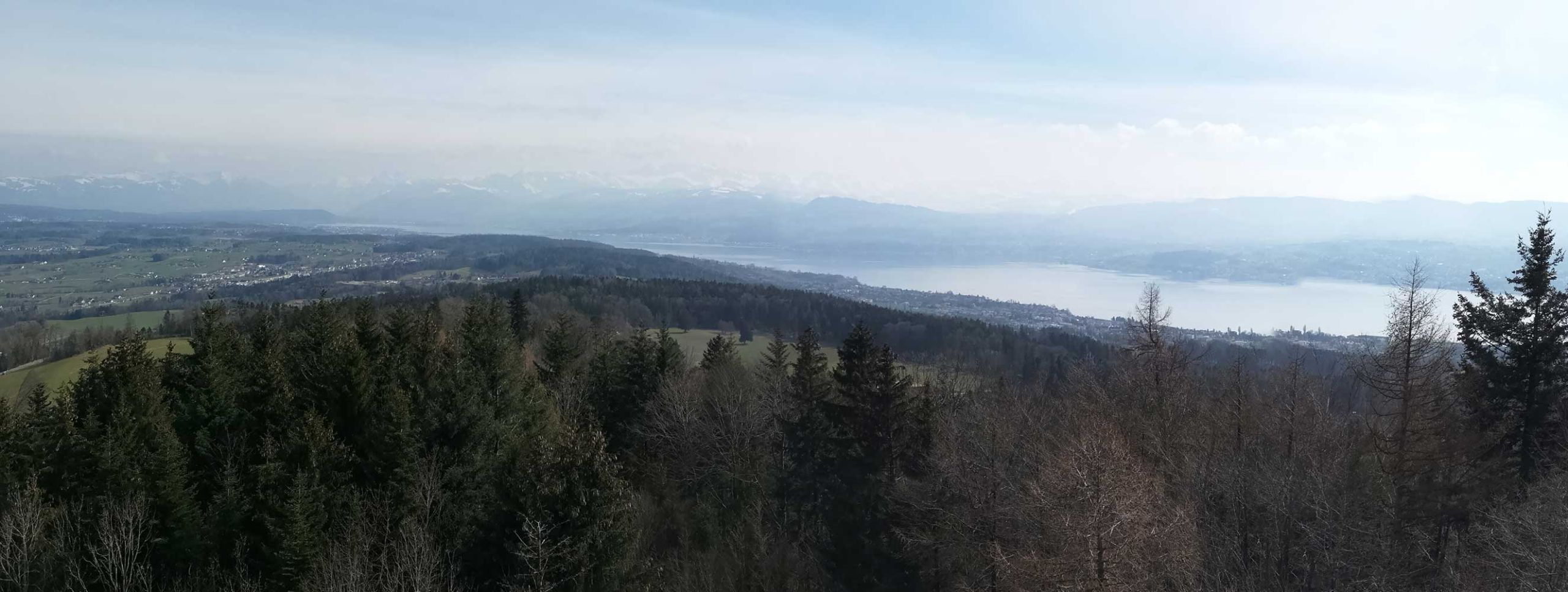 Blick auf Aussichtsturm auf dem Pfannenstiel