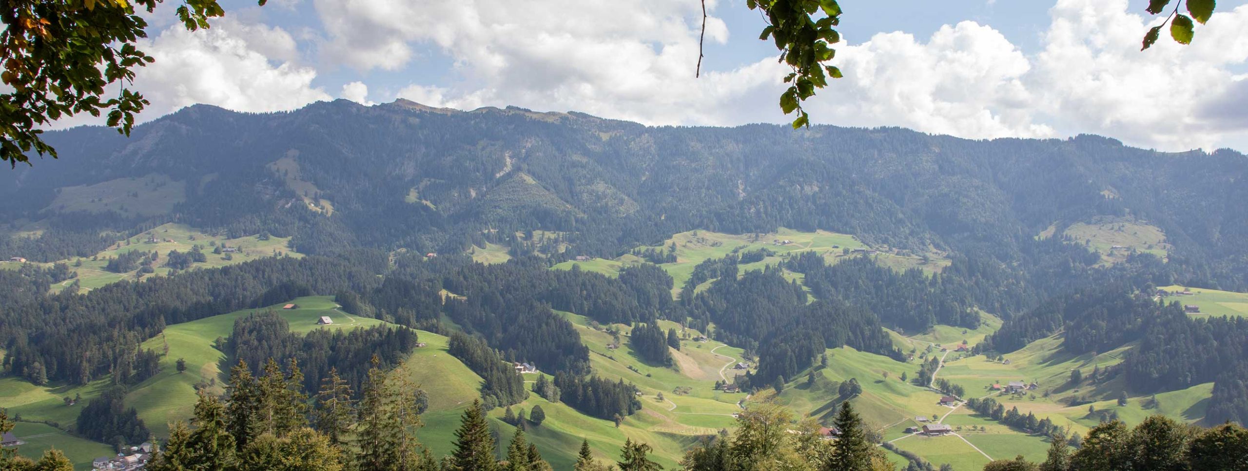 Blick vom Schwendelberg auf die Beichlen